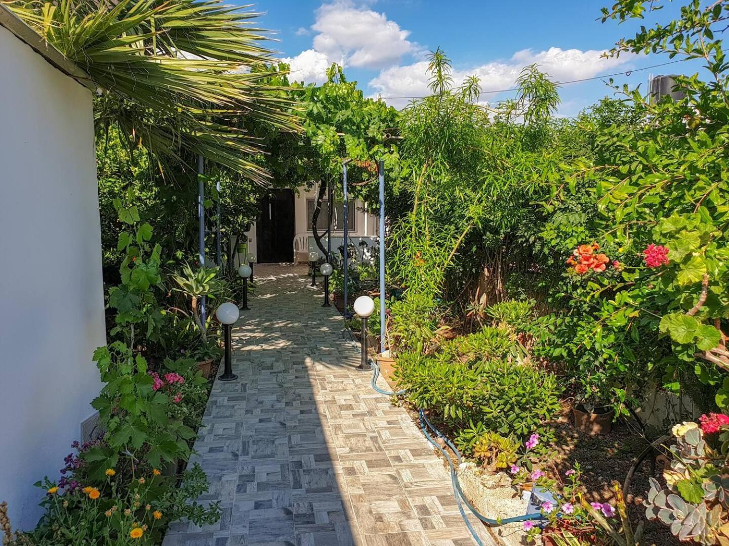 カラマキ Maria'S House, With Gardenヴィラ エクステリア 写真