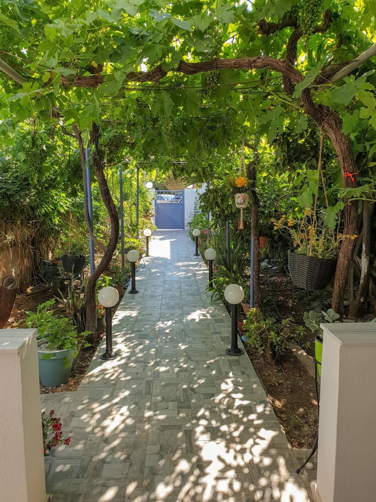 カラマキ Maria'S House, With Gardenヴィラ エクステリア 写真